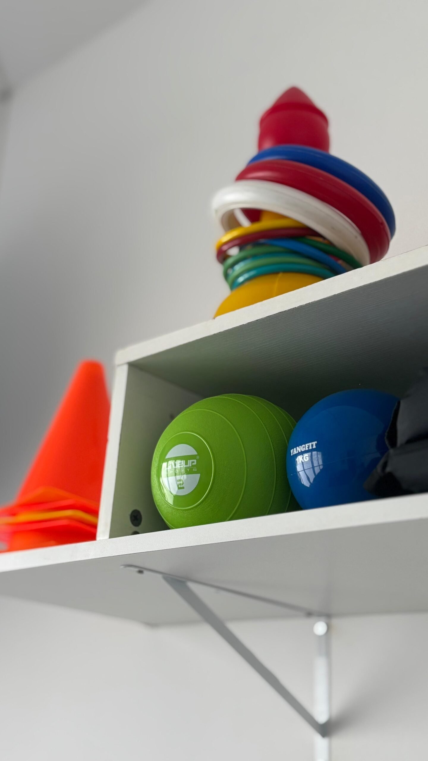 clinica-b-fly-psicopedagogia-campos-dos-goytacazes-alfabetização