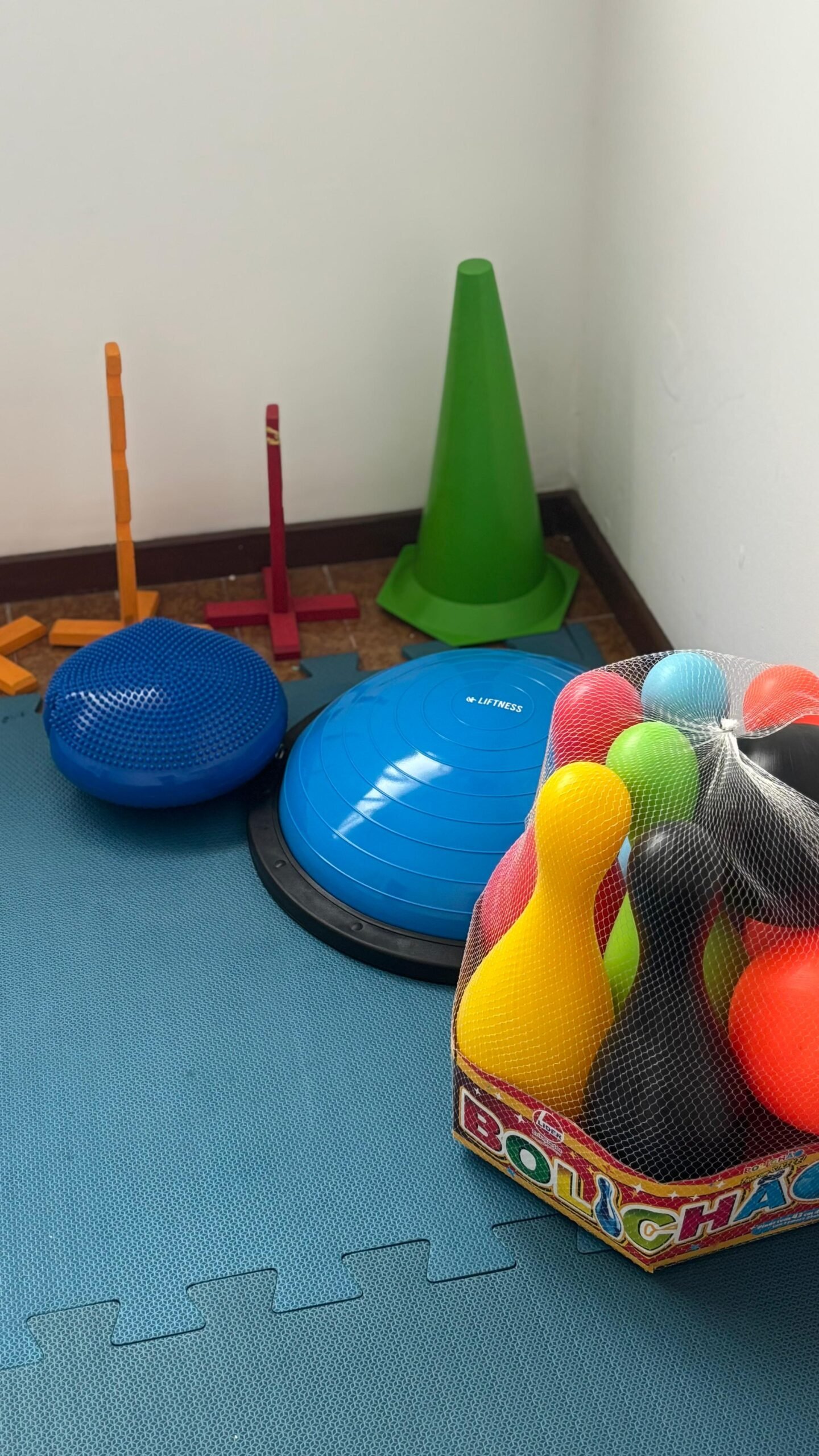 clinica-b-fly-psicopedagogia-campos-dos-goytacazes-bola-de-pilates2