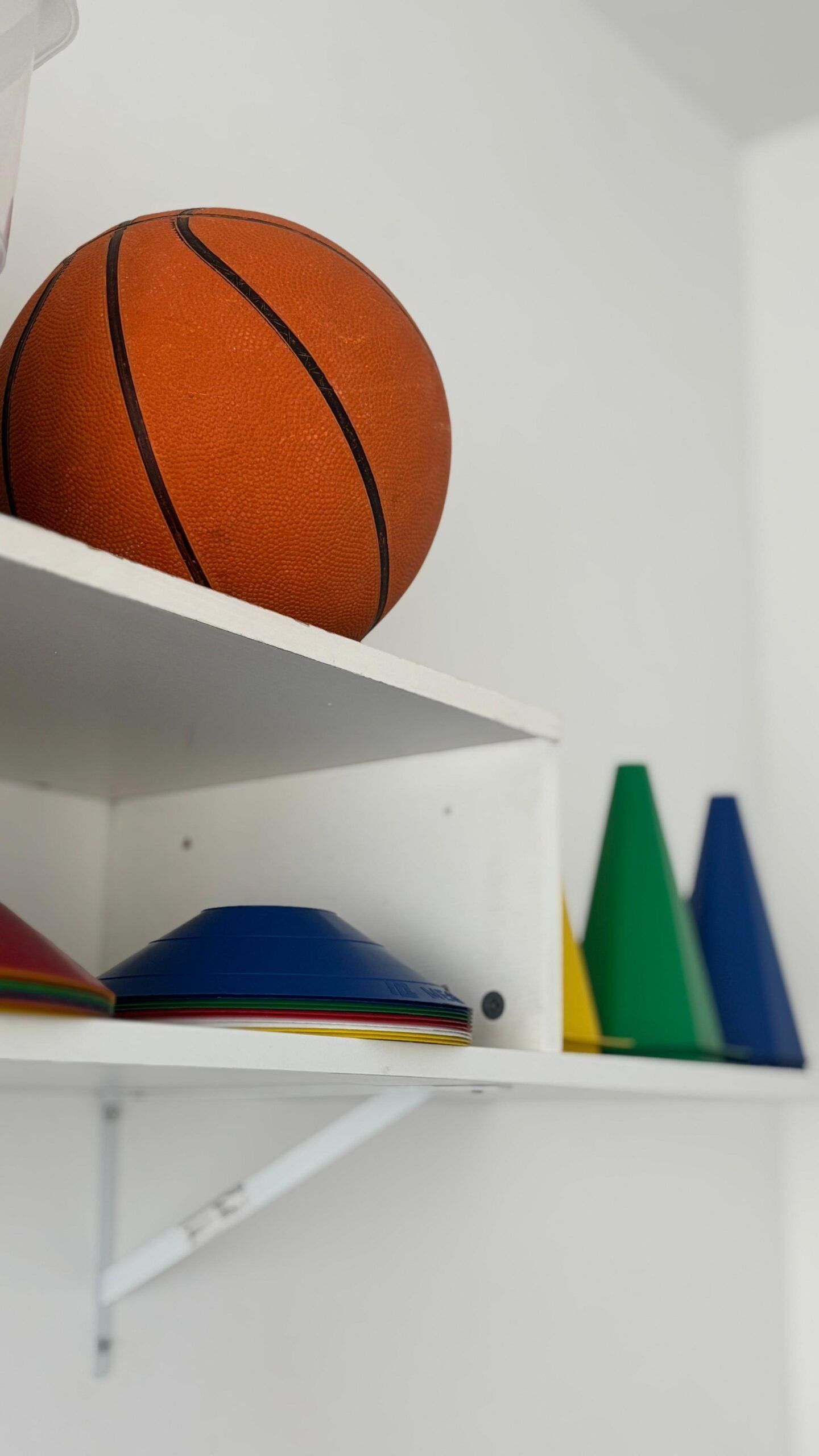 clinica-b-fly-psicopedagogia-campos-dos-goytacazes-estimulacao-cognitiva